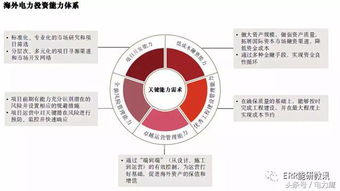 海外電力投資 趨勢、挑戰與資產管理新思路